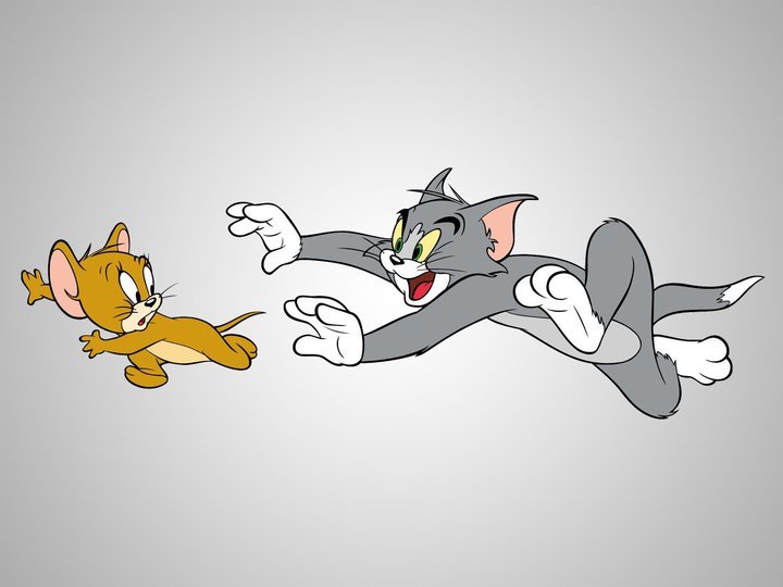 The Tom and Jerry Show on TV | Channels and schedules | TV24.co.uk