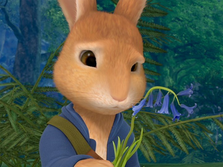 Peter Rabbit on TV | Series 2 Episode 45 | Channels and schedules ...