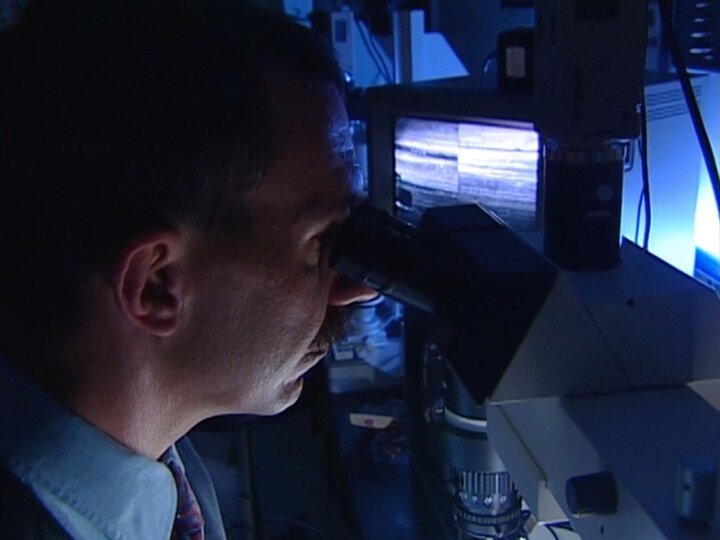 Forensic Detectives on TV Series 6 Episode 7 Channels and schedules