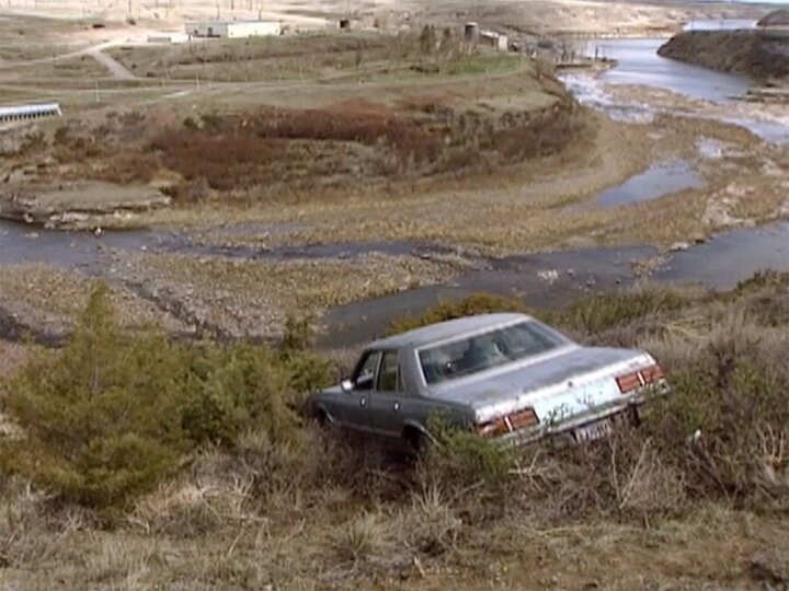 Forensic Detectives on TV Series 8 Episode 14 Channels and