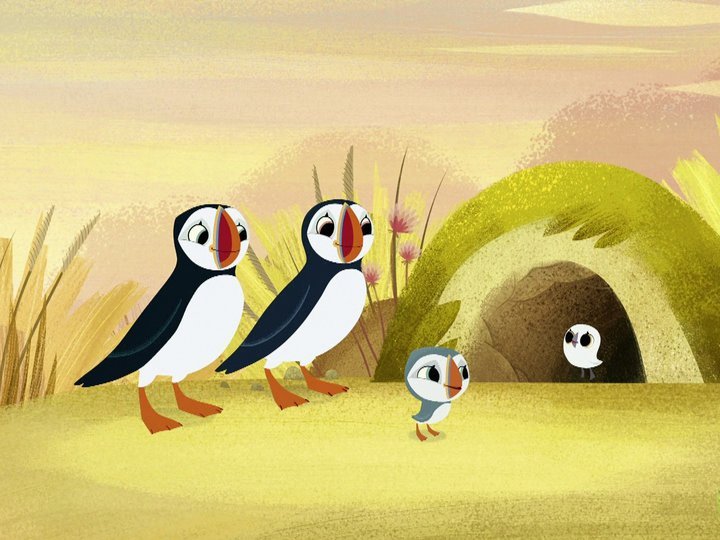 Puffin Rock on TV | Channels and schedules | tv24.co.uk