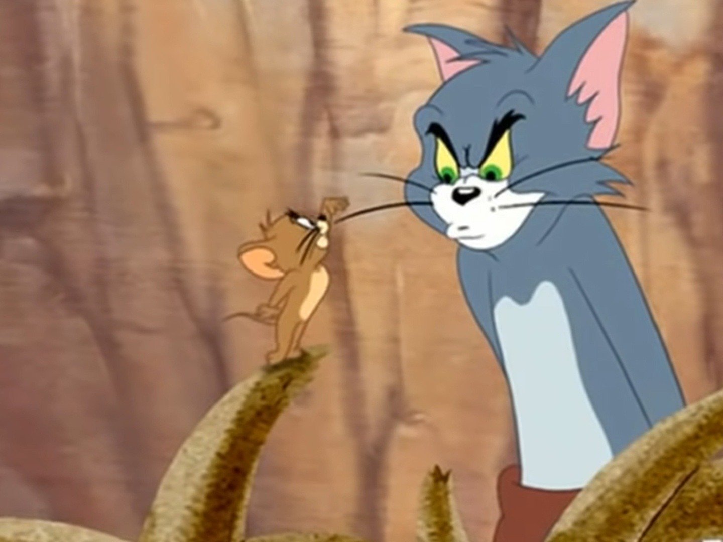 Tom And Jerry Jungle Love Images and Photos finder