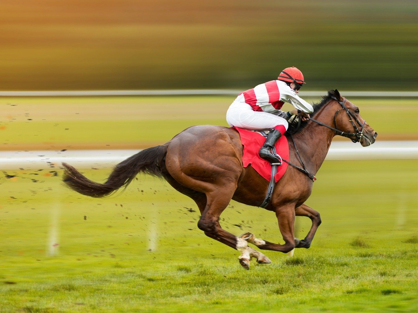 racing-to-win-on-tv-channels-and-schedules-tv24-co-uk