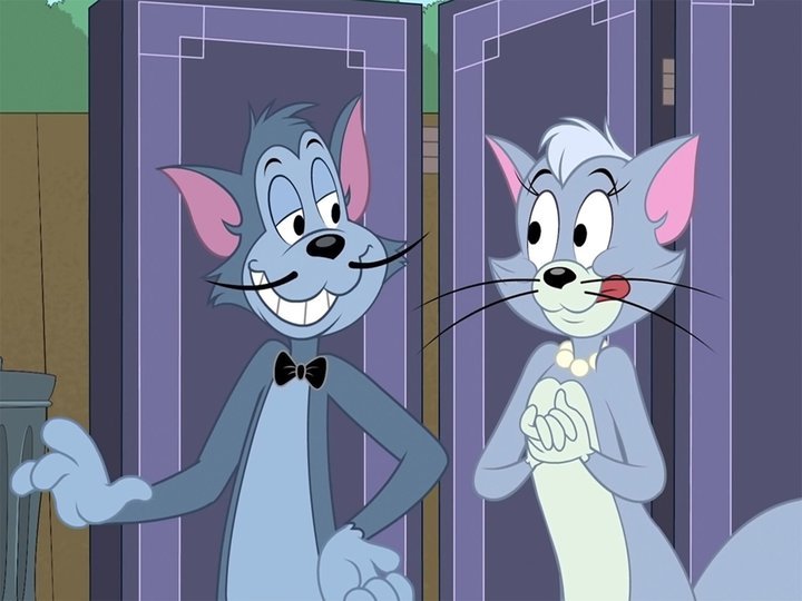 The Tom and Jerry Show on TV Channels and schedules TV24.co.uk