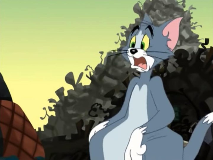 What Channel Is Tom And Jerry On Spectrum at Ellie Septimus blog