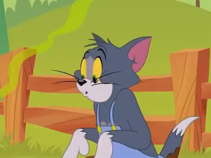 The Tom and Jerry Show on TV | Channels and schedules | TV24.co.uk