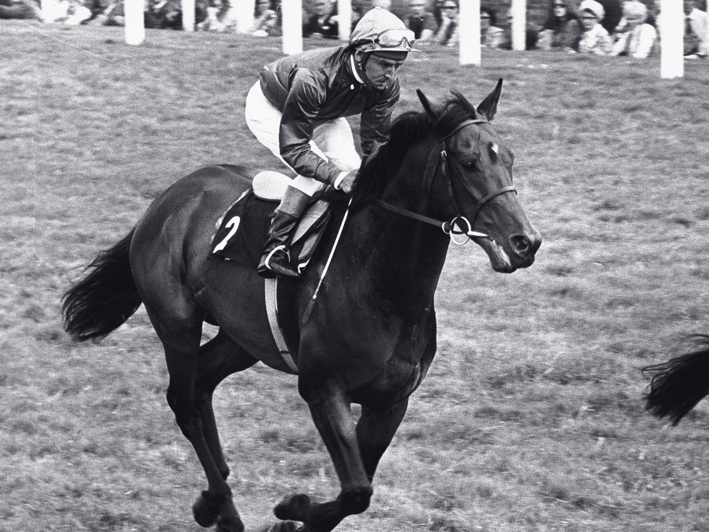 Graham Bradley (Racing Legends) on TV | Channels and schedules | tv24.co.uk
