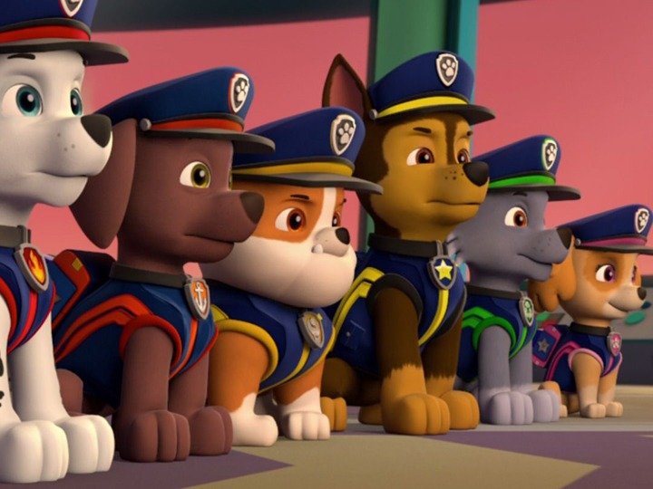 PAW Patrol On TV Season Episode Channels And Schedules TVTurtle Com