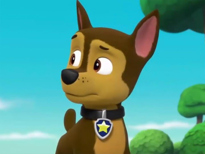 PAW Patrol on TV | Series 6 | Channels and schedules | TV24.co.uk