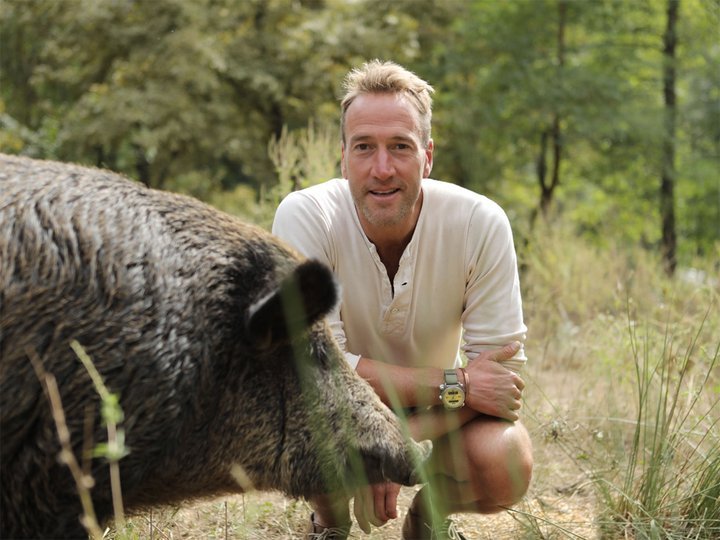 Ben Fogle: New Lives in the Wild on TV | Series 11 Episode 4 | Channels - Ben Fogle New Lives In The Wild Uk