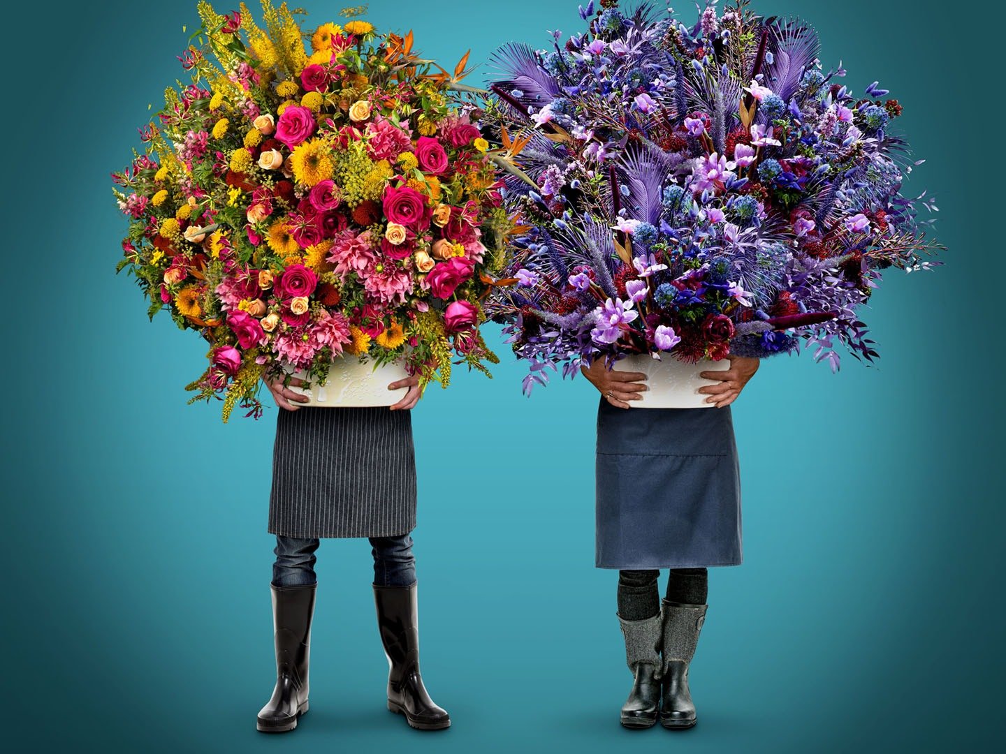 Full Bloom on TV Series 1 Episode 1 Channels and schedules TV24.co.uk