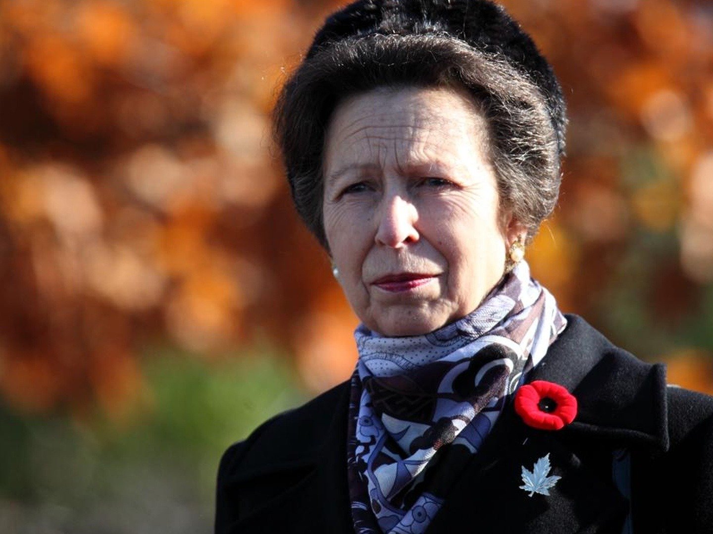 Princess Anne at 70 on TV Channels and schedules