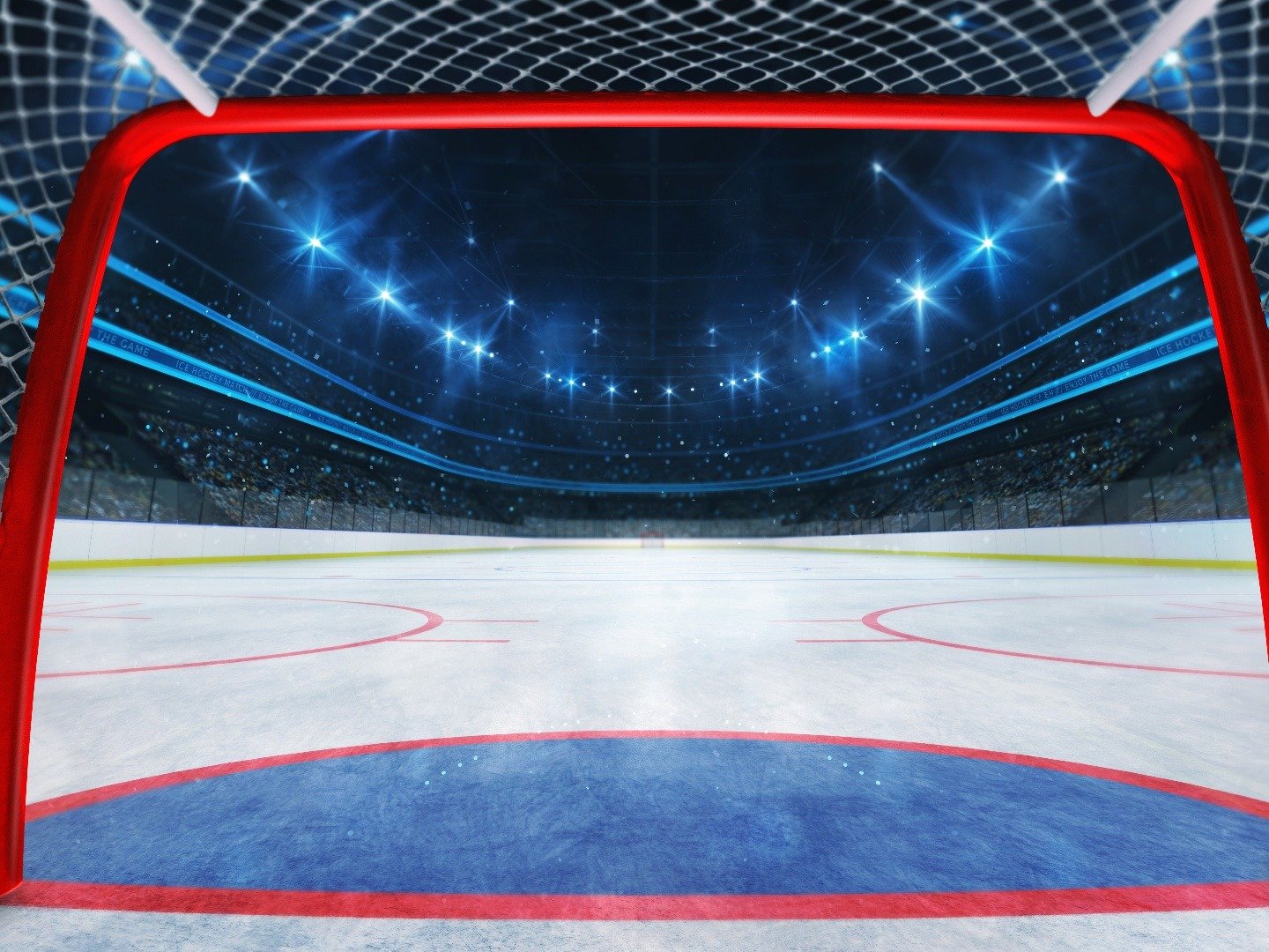 Hockey Arena 3d