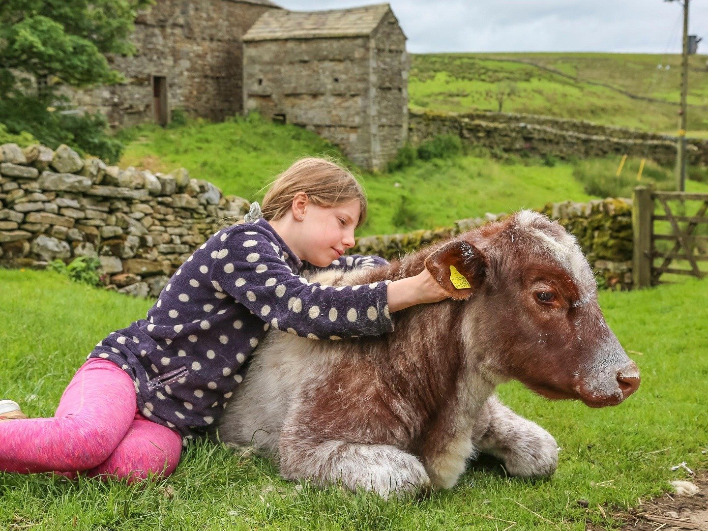 Our Yorkshire Farm on TV | Series 4 Episode 1 | Channels and schedules - When Is My Yorkshire Farm On Tv