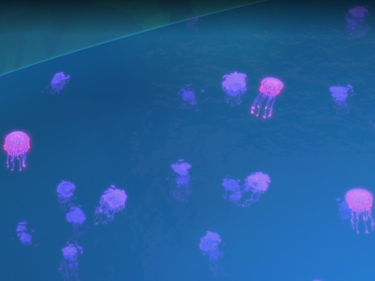 Ninjago Geheimnis der Tiefe on TV Series 14 Channels and