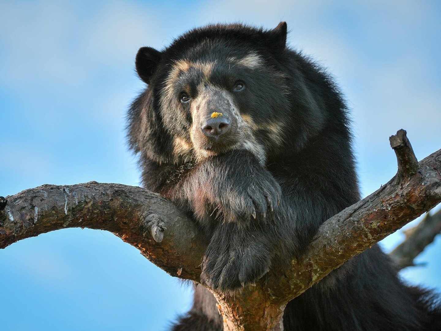 The Secret Life of the Zoo on TV | Series 10 Episode 3 | Channels and