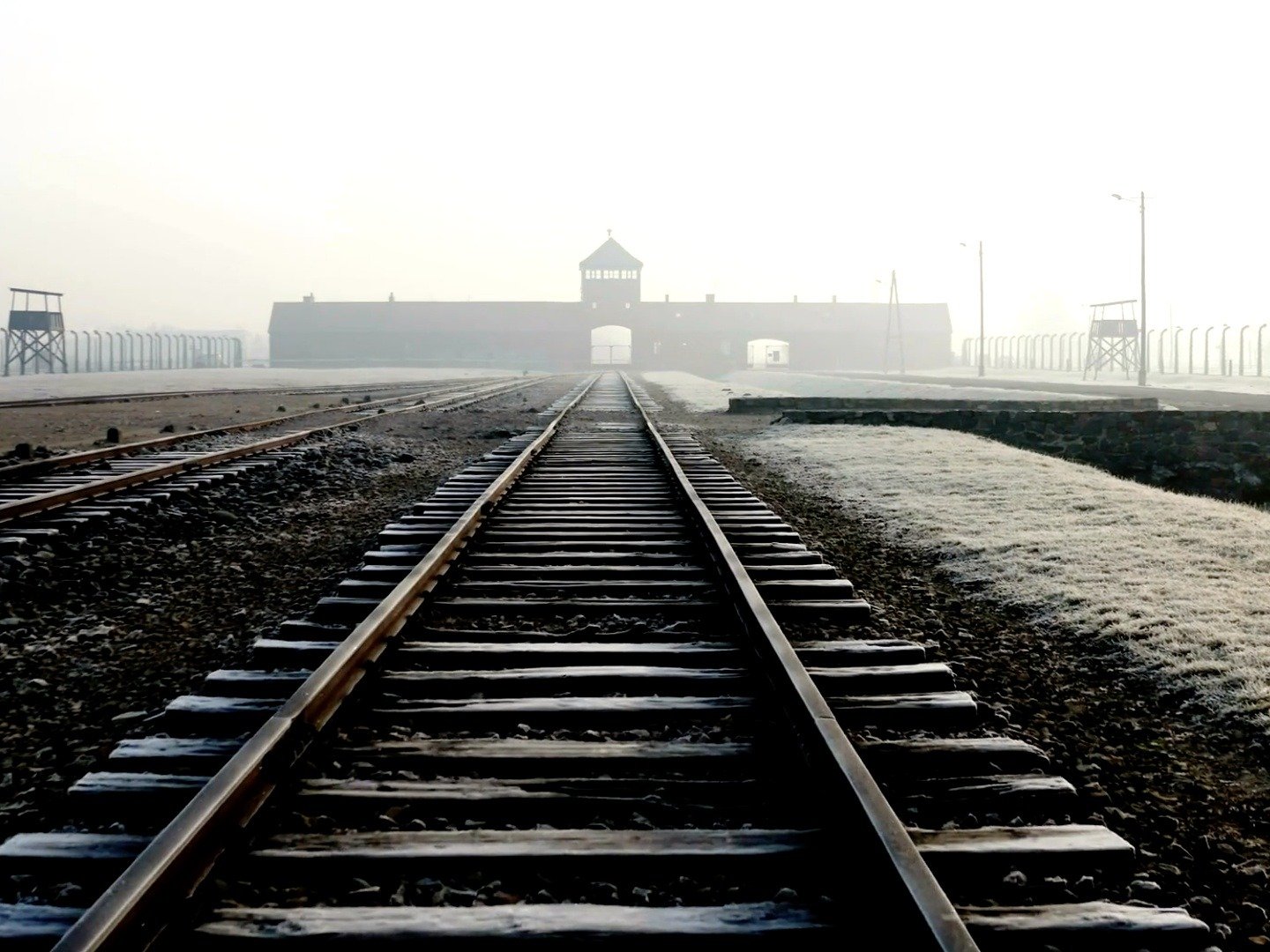 Auschwitz The Inside Man on TV Channels and schedules TV24.co.uk