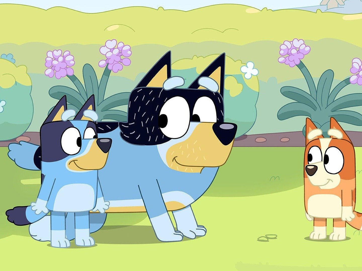 Bluey on TV | Series 3 Episode 12 | Channels and schedules | TV24.co.uk