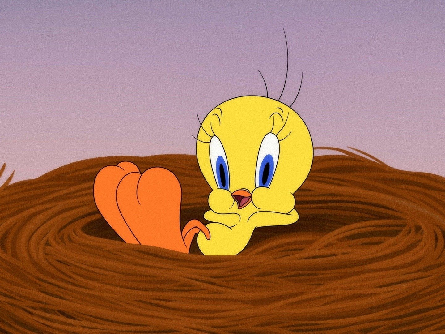 Looney Tunes on TV Channels and schedules TV24.co.uk