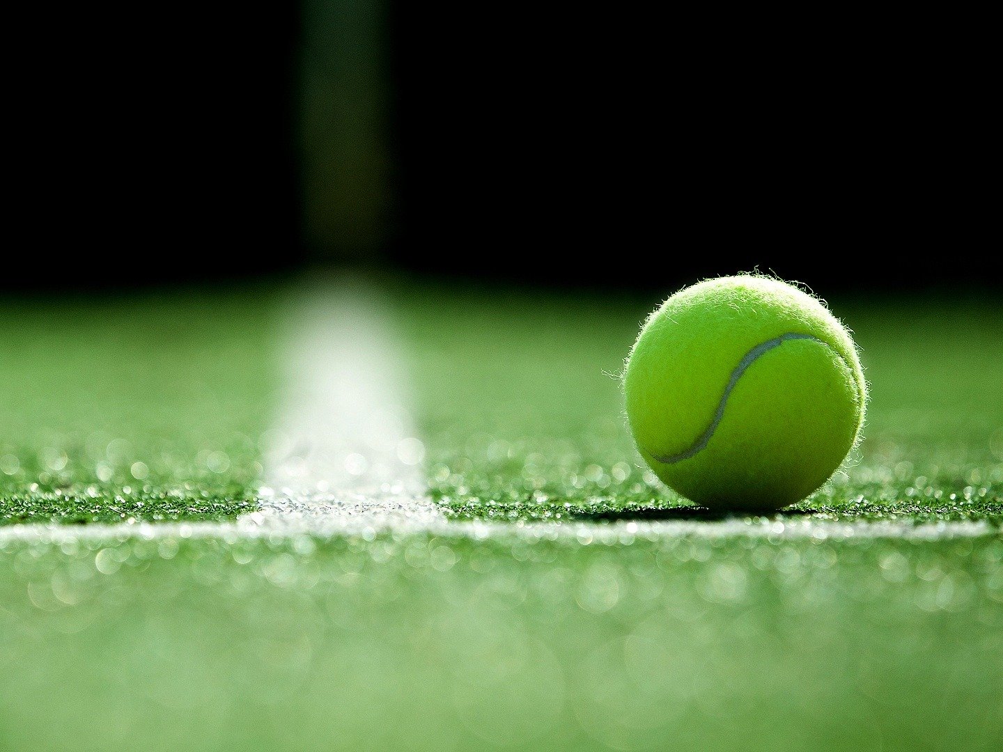 round-of-16-2022-wimbledon-championships-on-tv-channels-and