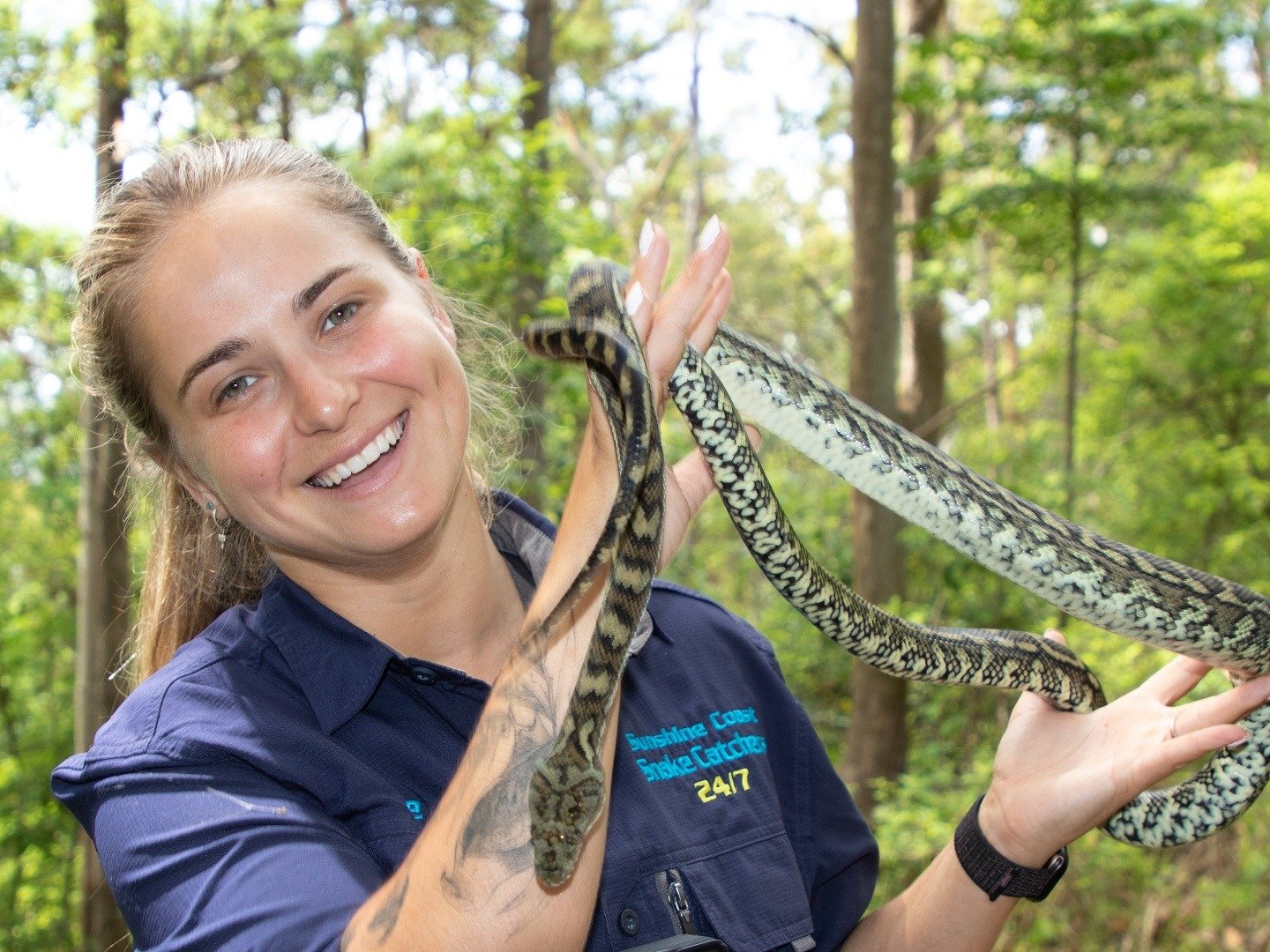 Aussie Snake Wranglers on TV | Series 2 Episode 4 | Channels and ...