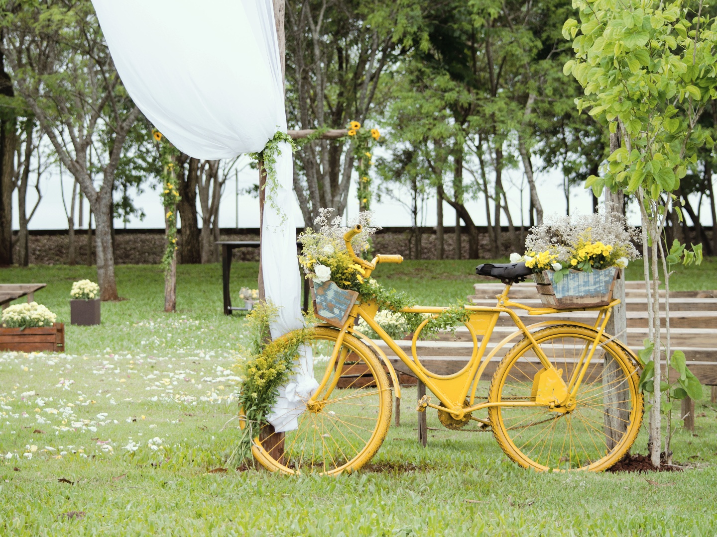 QVC Garden Centre on TV Channels and schedules TV24.co.uk