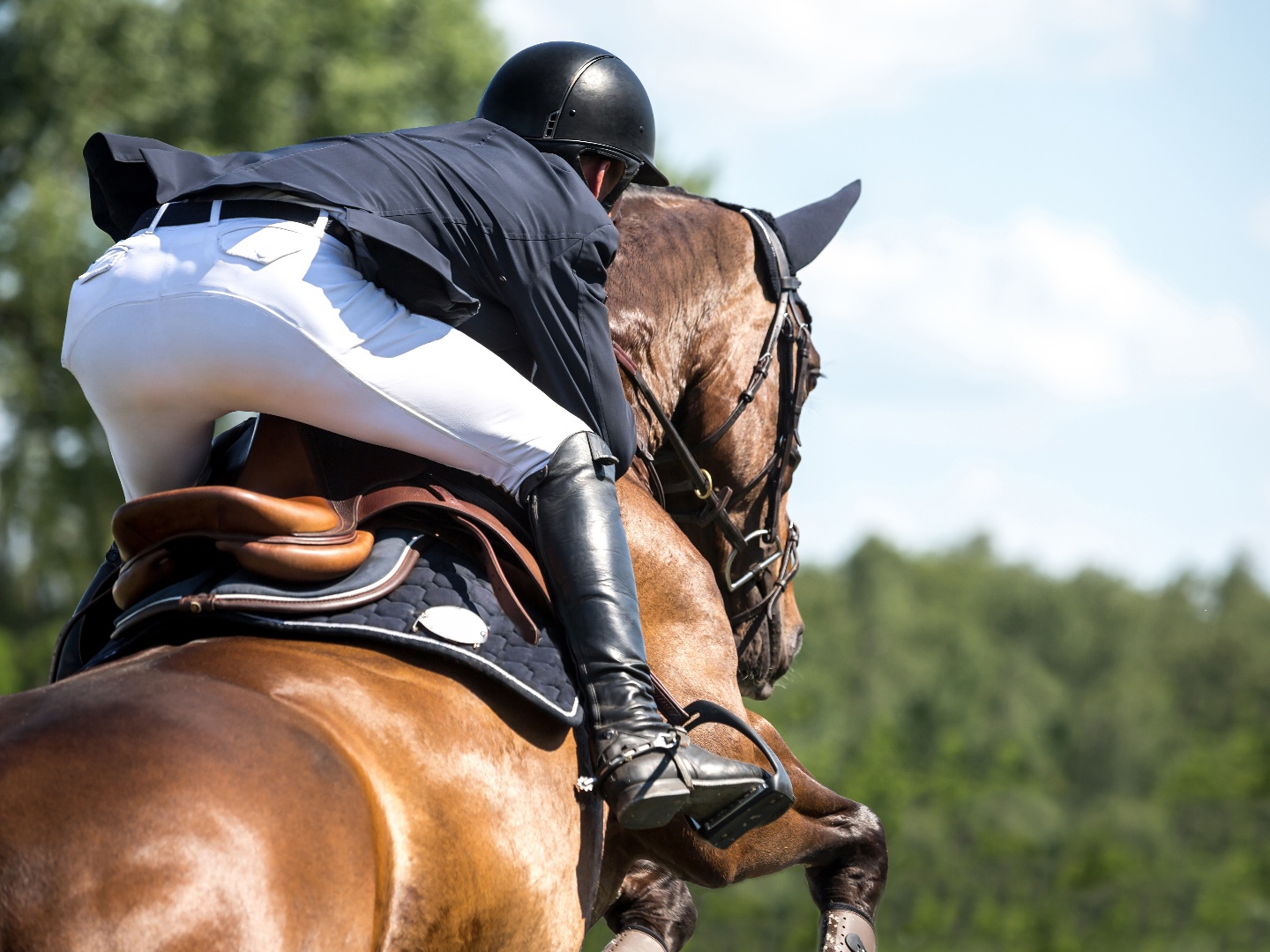 The New Chicago Mob on TV Series 1 Episode 3 Channels and schedules