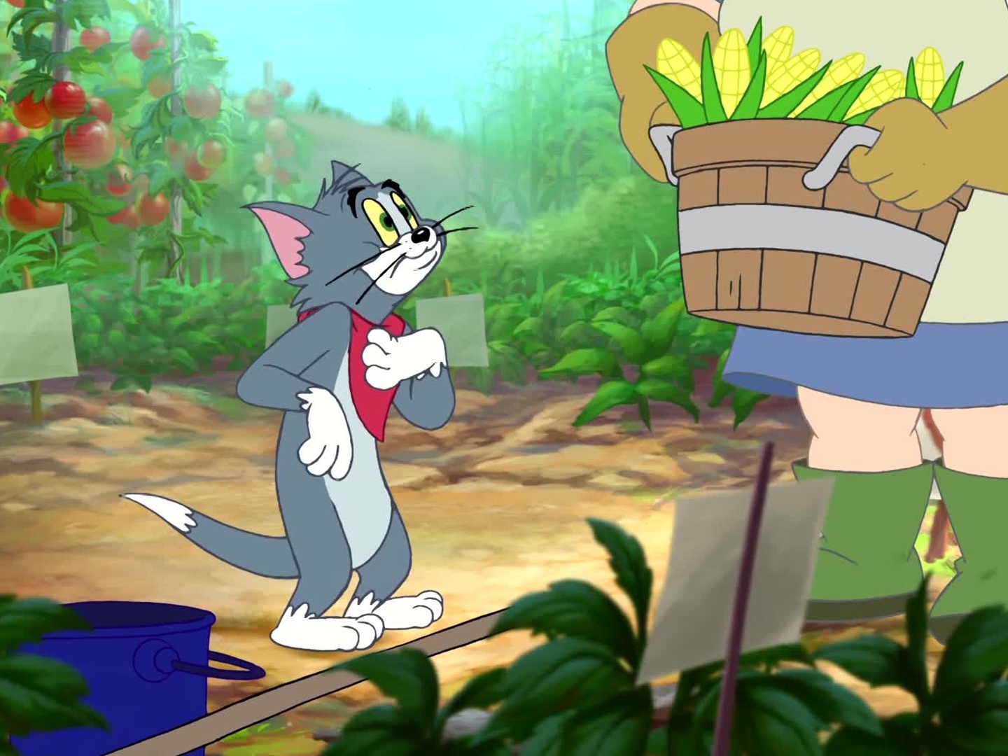 Tom & Jerry on TV | Channels and schedules | TV24.co.uk