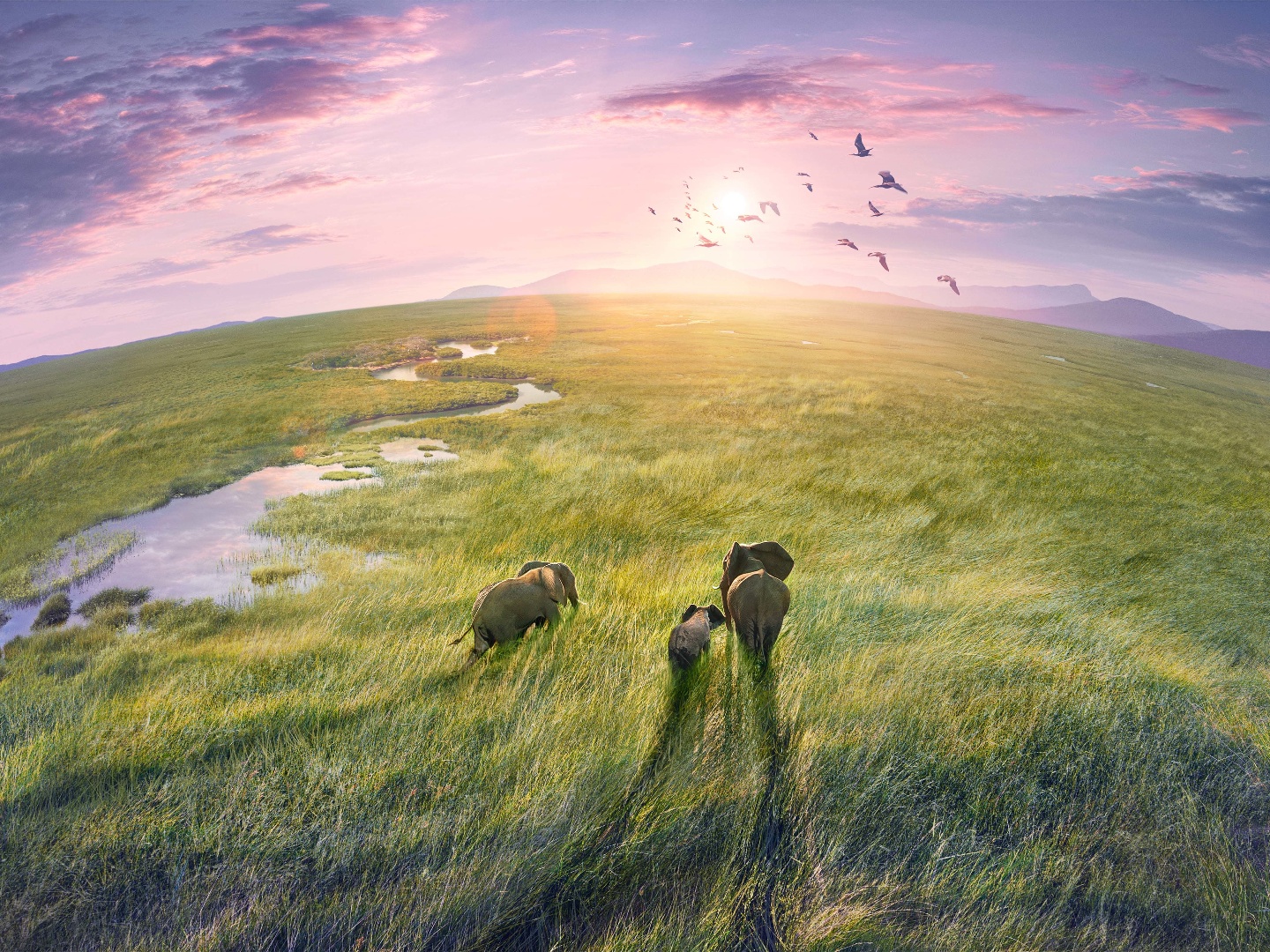 Planet Earth on TV | Series 3 Episode 6 | Channels and schedules | tv24 ...