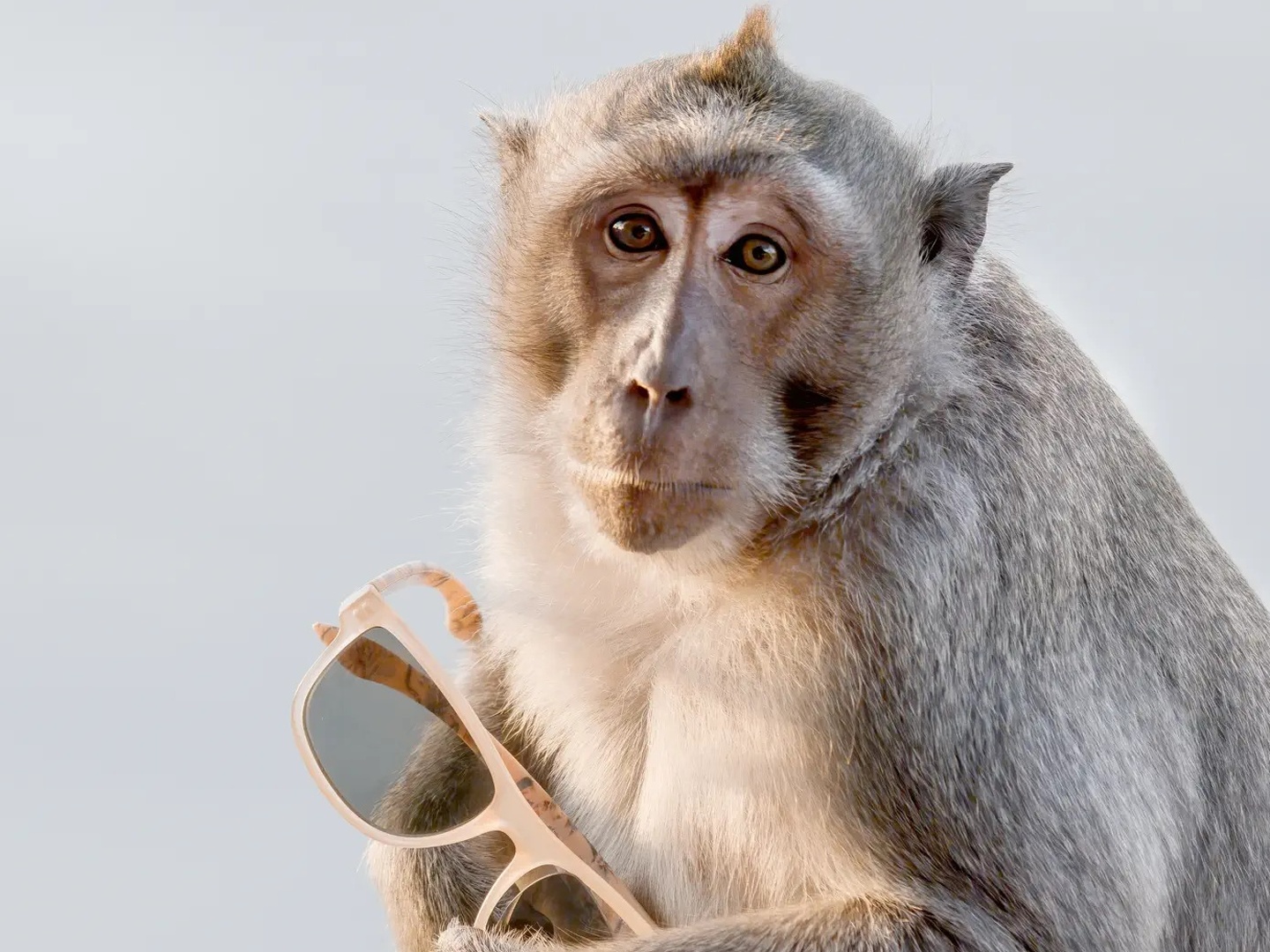Planet Earth on TV | Series 3 Episode 7 | Channels and schedules | tv24 ...