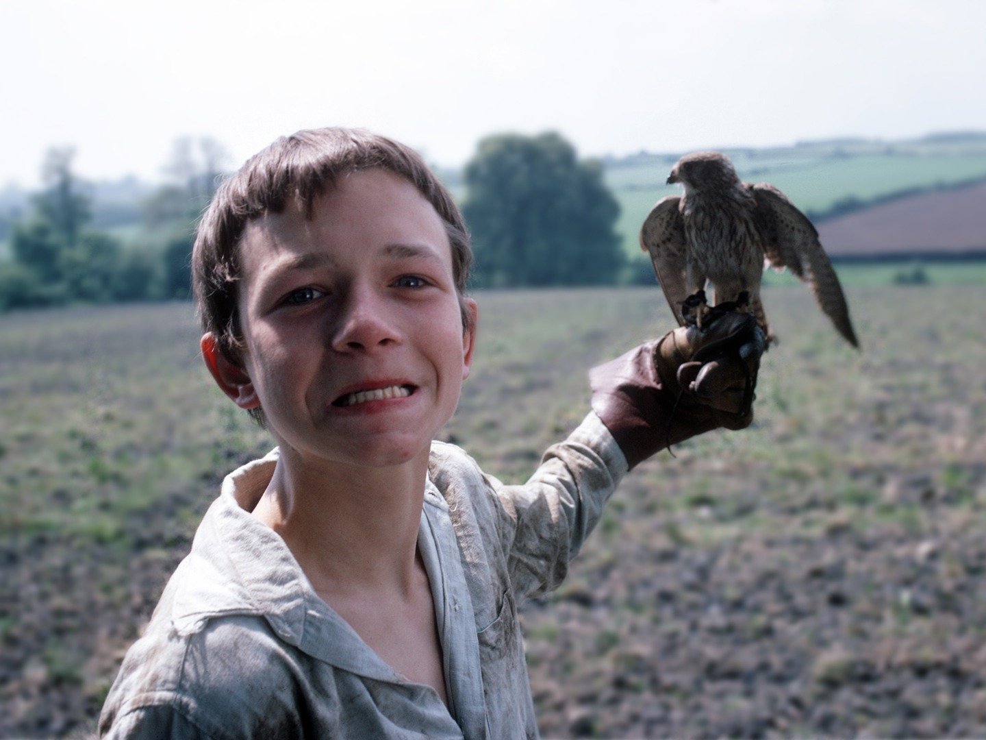 Kes (1969) on TV | Channels and schedules | TV24.co.uk