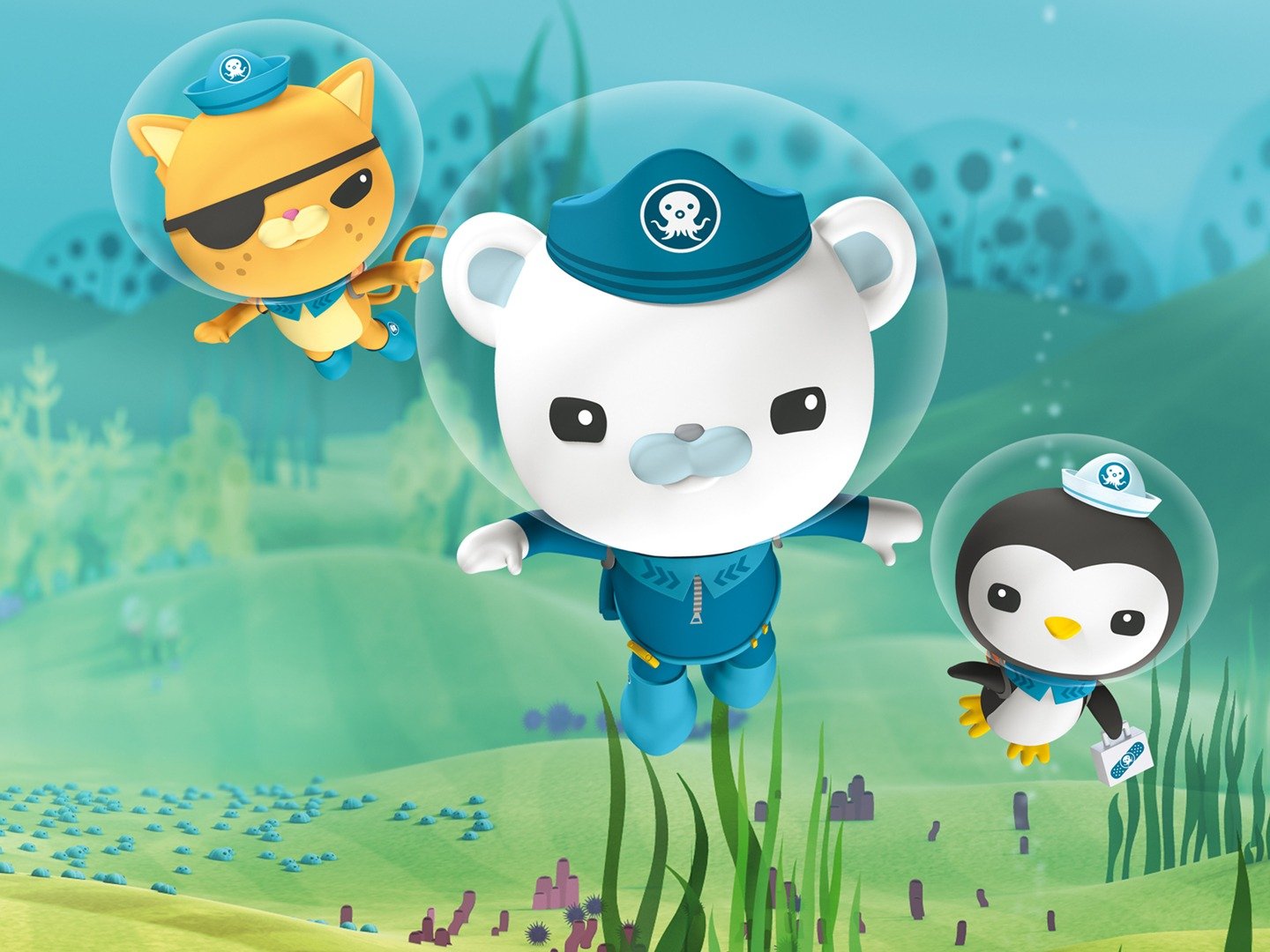 Octonauts on TV | Series 5 Episode 2 | Channels and schedules | TV24.co.uk