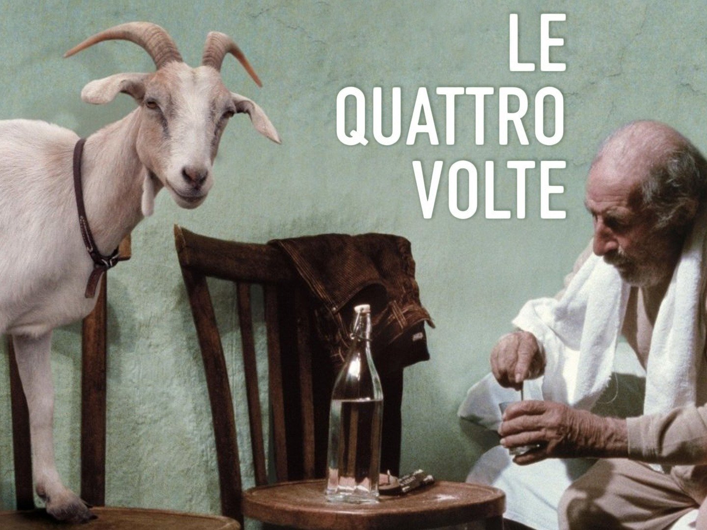 Le quattro